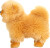 Teddy Hermann - Pomeranian 23 Cm - Gylden