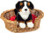 Teddy Hermann - Berner Sennen Hund - Siddende - 21 Cm