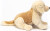 Teddy Hermann - Golden Retriever - Siddende - 30 Cm - Bamse