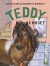 Teddy I Huset