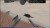 Terminal Velocity Boosted Edition Limited Run Import