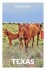 Insight Guides - Texas