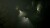 The 9Th Charnel