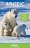 Bradt - The Arctic