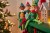 The Elf On The Shelf - Elf Mate Kok
