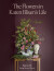 The Flowers In Karen Blixen S Life