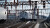 The Train Sim World 6