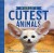 The World S Cutest Animals 100 Outrageously Adorable Cuties - Lonely Planet