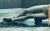Therabody - Wave Roller