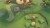 Time On Frog Island