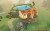 Time On Frog Island
