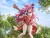 Trials Of Mana - Angela