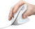 Trust Verto Ergo Mouse - White