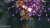 Truxton Extreme Thunder Master Edition