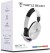 Turtle Beach Recon 70 Wired Headset - 2024 Multi Platform - White