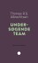 Undersøgende Team