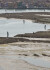 Urban Shores