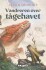 Vandreren Over Tågehavet
