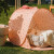 Vanilla Copenhagen - Strandtelt Sleep - Pop-Up - Lady Lovebug