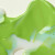 Liquitex - Gloss Medium Varnish - Blank Lak 236 Ml