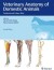 Veterinary Anatomy Of Domestic Animals