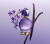 Viktor Rolf Good Fortune - Edp - 90Ml