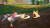 Visions Of Mana Import