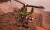 Warhammer 40 000 Speed Freeks