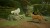 Warrior Cats Clans Of The Forest