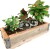 Selvvander Til Plante - Water From A Stone - Kikkerland