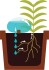 Selvvander Til Plante - Water From A Stone - Kikkerland