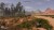 Wild West Legacy Ultimate Edition
