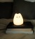 Winkee - Bordlampe - Nightlight Kitten