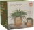 Winkee - Crying Plant Pot - Urtepotteskjuler