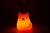Winkee - Fox Night Light - Orange