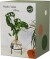 Winkee - Hydro Vase Flora