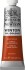 Winsor Newton - Winton Oil Colour 37 Ml - Burnt Sienna 074