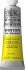 Winsor Newton - Winton Oil Colour 37 Ml - Cadmium Lemon Hue 087