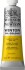 Winsor Newton - Winton Oil Colour 37 Ml - Cadmium Yellow Pale Hue 119