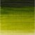 Winsor Newton - Winton Oil Colour 37 Ml - Sap Green 599