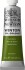 Winsor Newton - Winton Oil Colour 37 Ml - Sap Green 599