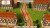 World Neverland Daily Life In The Elnea Kingdom