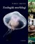 Zoologisk Morfologi